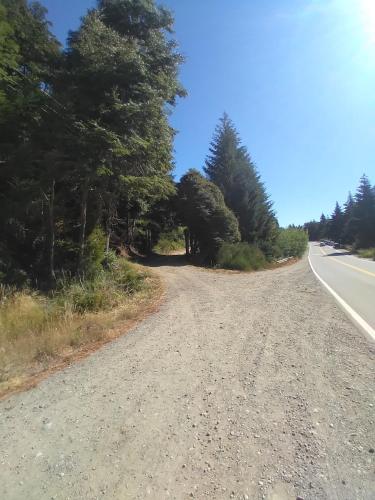 an empty road with trees on the side of the road at Tiny House Melgarejo in San Carlos de Bariloche