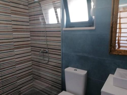 a bathroom with a shower and a toilet and a sink at Casa Lamarosa 
