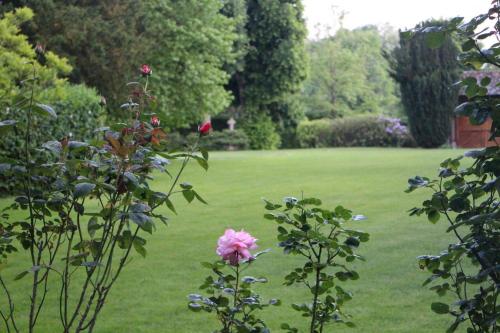 a garden with pink roses in the grass at La Vallée in Hébécourt