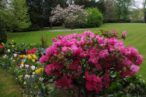a bunch of flowers in a garden with a lawn at La Vallée in Hébécourt