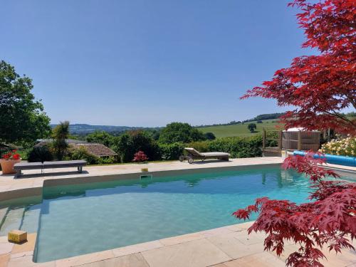 a large swimming pool in a yard with trees at Watchcombe House in Colyton