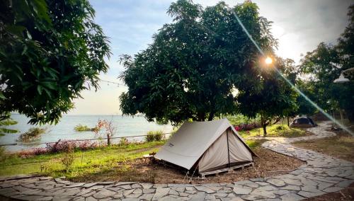 a tent under a tree next to the water at The Secret Garden Camping - Hồ Trị An 