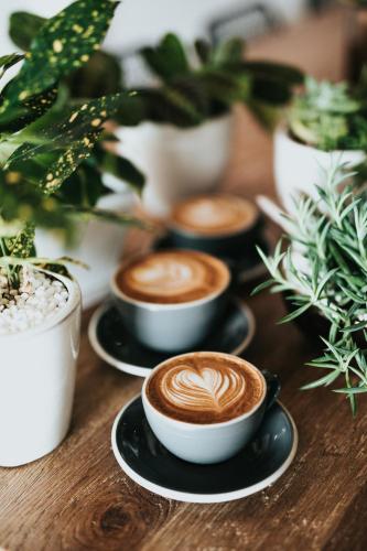 four cups of coffee on a table with plants at Trendy 2 bedroom accommodation on perfect location in Amsterdam