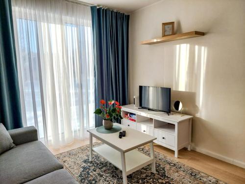 ein Wohnzimmer mit einem Sofa und einem TV in der Unterkunft Mai 71 Johanna suvekorter in Pärnu