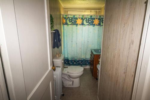 a bathroom with a toilet and a shower curtain at Country Classic in Crumpler