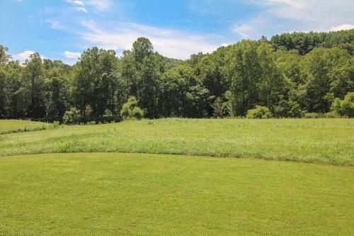 a large grass field with trees in the background at Country Classic in Crumpler