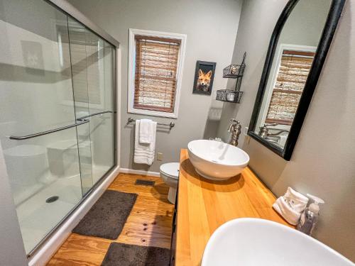 a bathroom with a shower and a toilet and a sink at Bluff Mountain Retreat in West Jefferson
