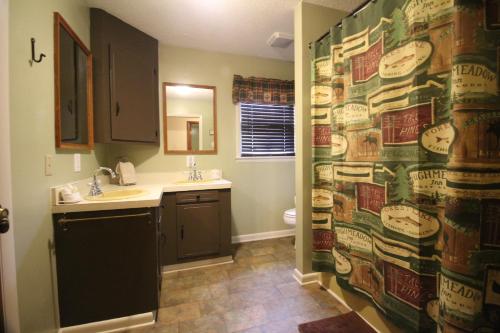 a bathroom with a sink and a shower curtain at Rivers Edge in Jefferson