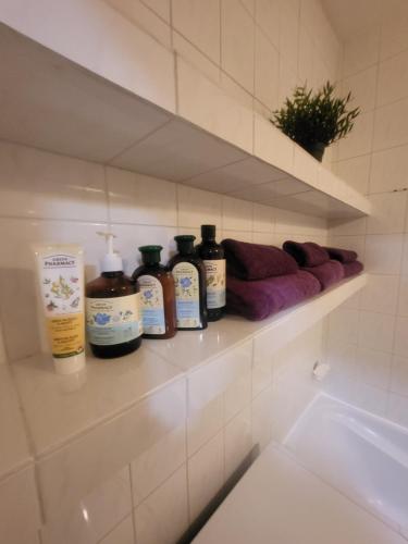 a bathroom shelf with bottles of soap and a sink at Apartmán George in Bratislava