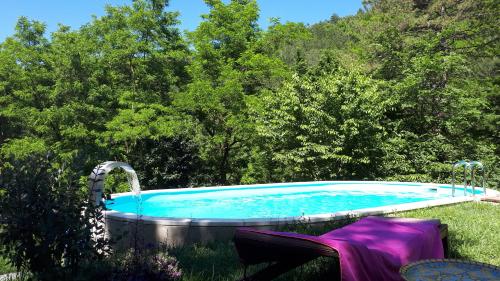 una piscina en el césped con árboles en el fondo en Porcaticcio en Casola Valsenio