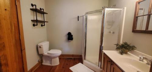 a bathroom with a shower and a toilet and a sink at El Cabitan in West Jefferson
