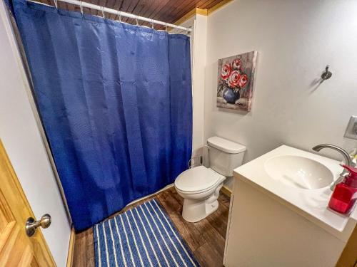 baño con aseo y cortina de ducha azul en Mountain Jewel, en Jefferson