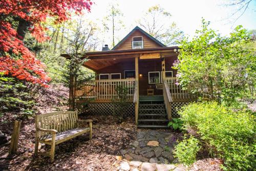 a small house with a bench in a yard at Roaring Creek in Todd