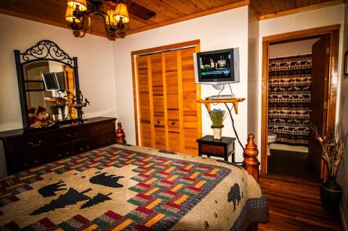 a bedroom with a bed and a dresser and a television at Roaring Creek in Todd