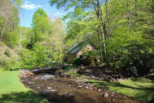 a small house in the woods next to a stream at Roaring Creek in Todd