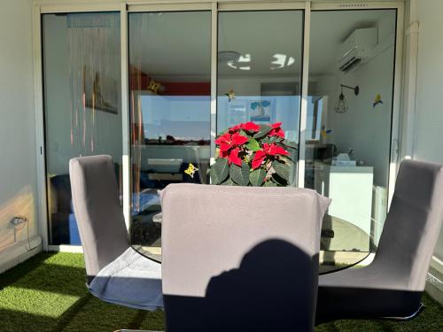 une table et des chaises avec une plante en pot dans une pièce dans l'établissement Village naturiste - Port-Nature 4 coursives vue mer - Le Point G., au Cap d'Agde