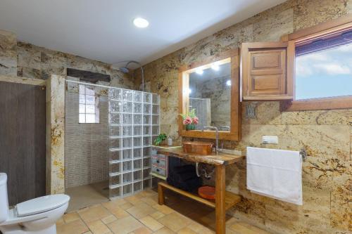a bathroom with a shower and a toilet and a sink at Countryside Treasure by Fidalsa in Lorquí