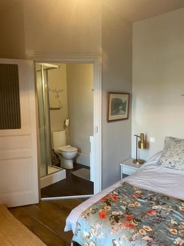 une chambre avec un lit et une salle de bain avec WC dans l'établissement Villa Tourelle, à Dinan