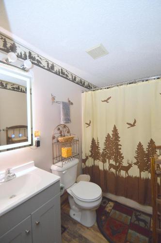a bathroom with a toilet and a shower curtain at A Zen Mountain Retreat - Nirvana Awaits in Baxter