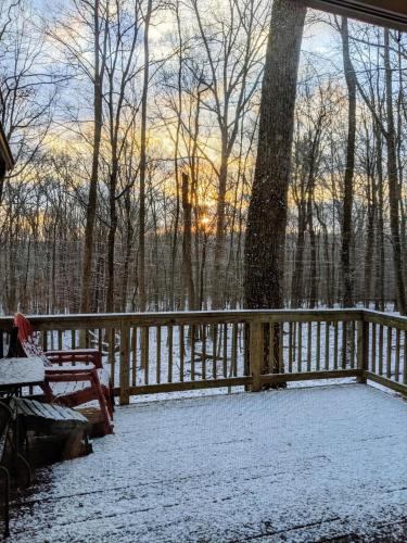 a snow covered porch with a bench and a tree at Autumn Wings - Propane Grill, Wifi, Kid Friendly, King Bed, Games, Screen Porch, Pool Access, Hiking in Berkeley Springs