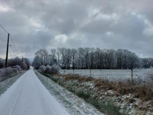 uma estrada coberta de neve num campo com árvores em Le Petit Refuge 