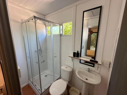 a bathroom with a shower and a toilet and a sink at Posada Guasu in Punta del Este