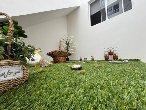 a yard with a green lawn with plants and a house at Hermosa Hab,Internet,Centrico, Wi-Fi in Xalapa