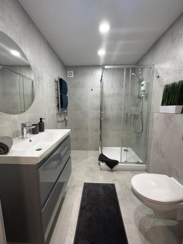 uma casa de banho com um chuveiro, um lavatório e um WC. em Žilina em Marijampolė