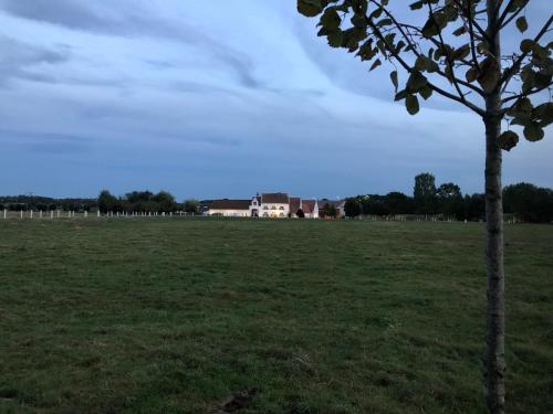 a tree in a field with a house in the background at Ferme Delgueule in Tournai