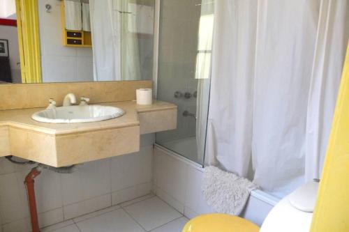 W łazience znajduje się umywalka i prysznic. w obiekcie Casa San Telmo 3030 w BuenosAires