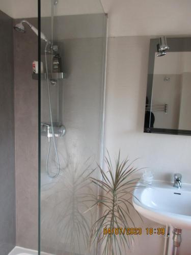 une douche avec une porte vitrée à côté d'un lavabo dans l'établissement chambre chez l'habitant, à La Goulandre