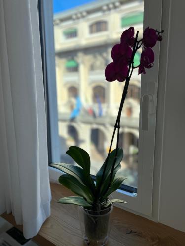 a plant in a vase sitting on a window sill at Conte Cavour in Udine