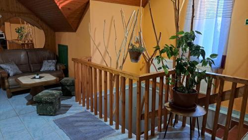 a living room with a staircase with a couch and plants at Kisdiófa Panzió és Vendéglő in Vajdácska