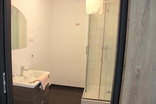 Ένα μπάνιο στο Apartamenty Kwiat Jabłoni