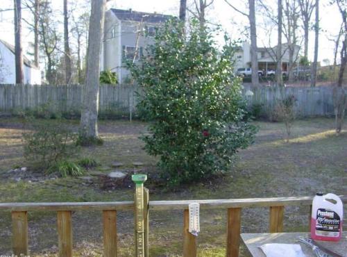 Φωτογραφία από το άλμπουμ του Three Bedroom Very Nice House - Bryant, AR σε Bryant