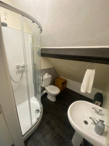 een badkamer met een douche, een wastafel en een toilet bij Aisha’s Attic in Rhyl