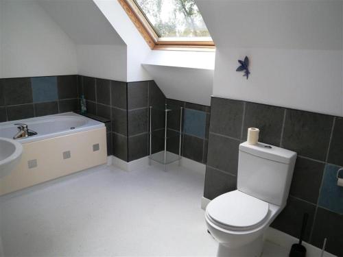 a bathroom with a toilet and a sink and a bath tub at Ptarmigan Cottage in Aviemore