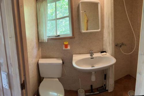 a small bathroom with a toilet and a sink at Charmerende skovhytte in Ringkøbing