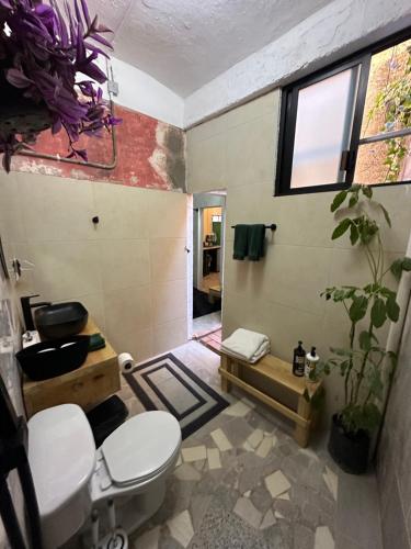 a bathroom with a toilet and a sink and a shower at 509 Accommodation in Oaxaca City