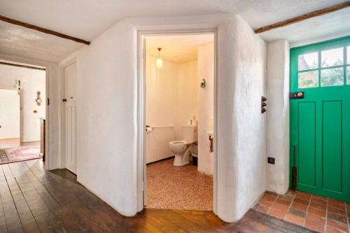 a bathroom with a toilet and a green door at Rosehill House in Dungannon