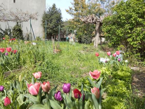 En trädgård utanför Le grenier du Vissou