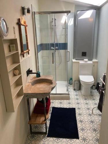 une salle de bain avec un lavabo et une douche dans l'établissement Le grenier du Vissou, à Cabrières