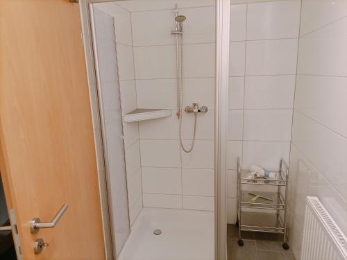 y baño con ducha y puerta de cristal. en Apartments, en Papenburg