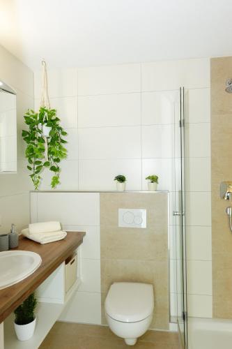 bagno con servizi igienici e lavandino di RELAX-RED mit Pool und Sauna a Scheidegg