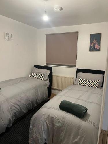1 dormitorio con 2 camas y pantalla de proyección en Gracehill Suite, en Londres