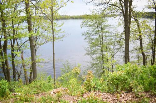 a view of a lake through the trees at Bliss on the Lake in Wausau