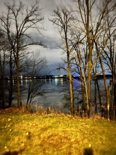 a view of a body of water with trees at Bliss on the Lake in Wausau