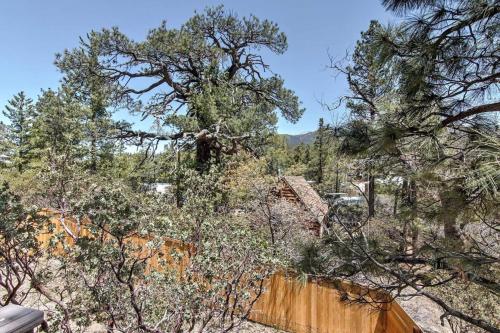 a large tree over a fence in front of a house at Blissfully Wild -with Hot Tub and pets are welcome in Idyllwild