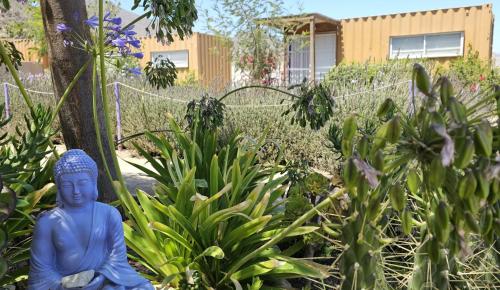 Φωτογραφία από το άλμπουμ του Lavanda del Valle σε Vicuna