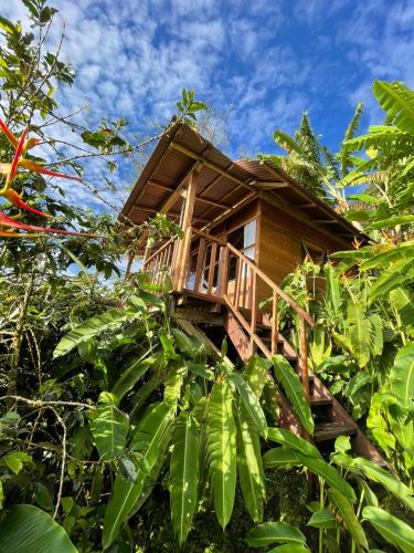 a tree house in the middle of a forest at Monte Mágico in Támesis